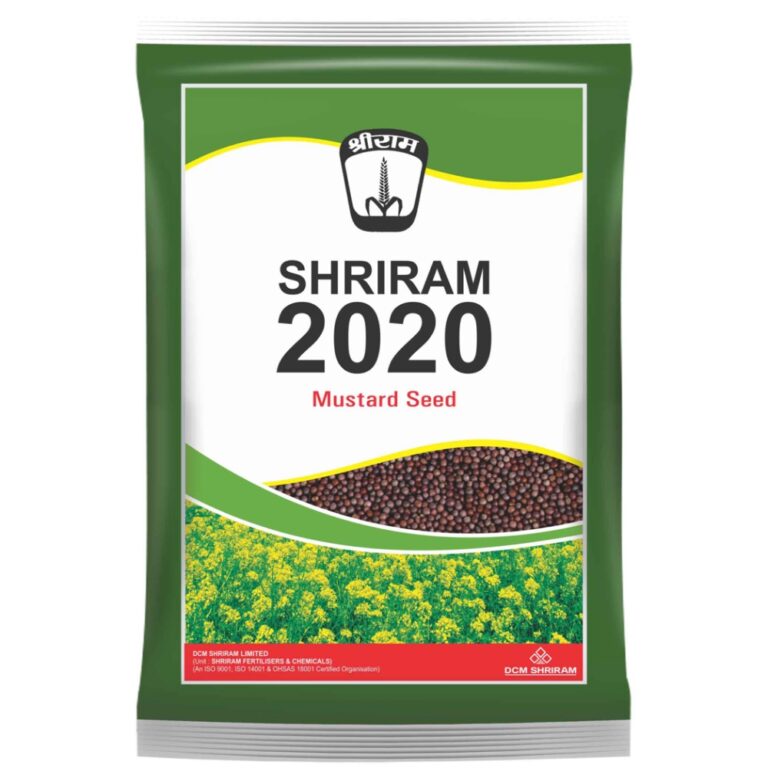 Shriram 2020