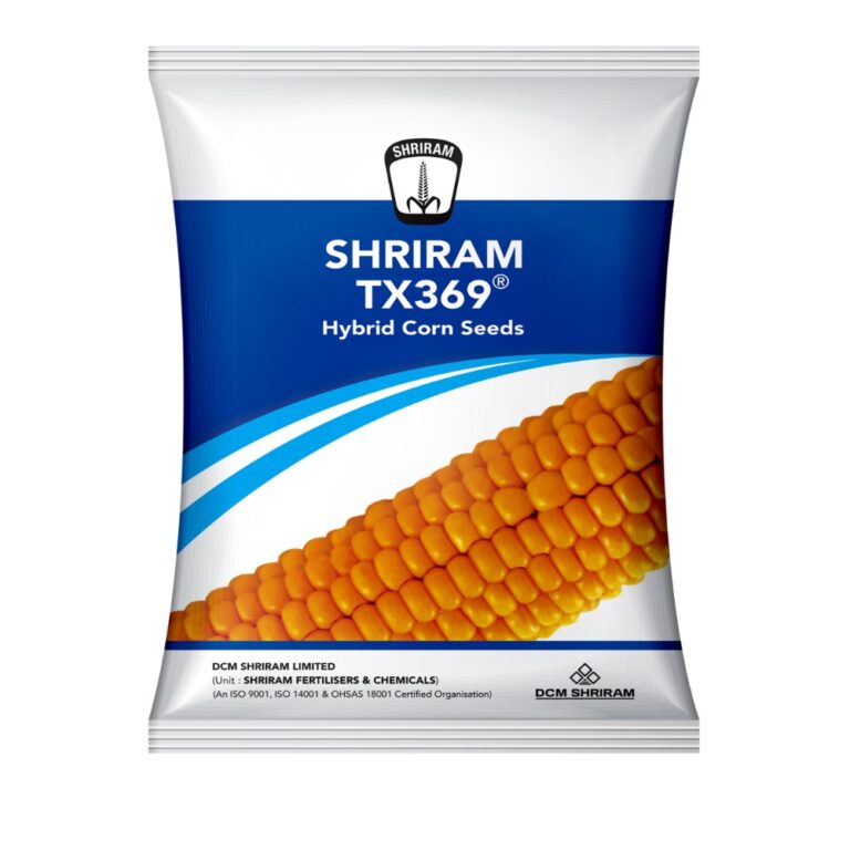 Shriram TX 369