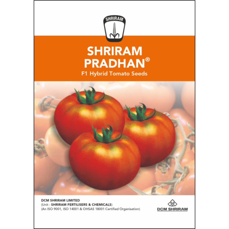 Shriram Pradhan