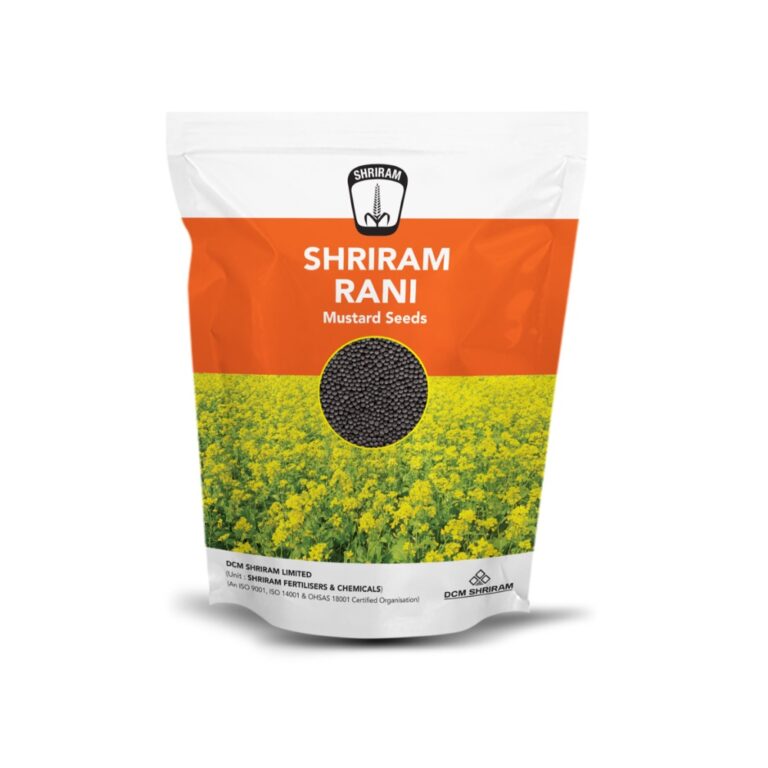 Shriram Rani
