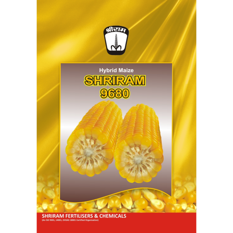 Shriram 9680