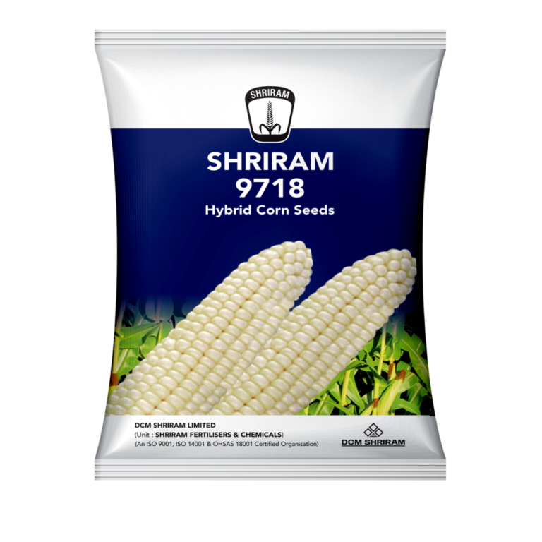 Shriram 9718