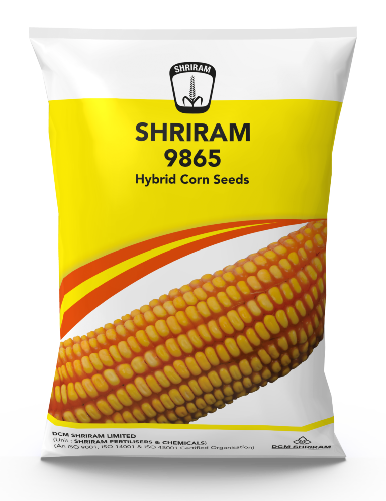 Shriram 9865